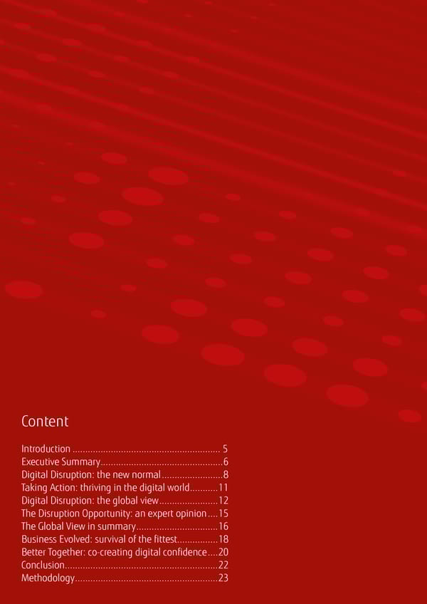 Fit for Digital REPORT - Page 3